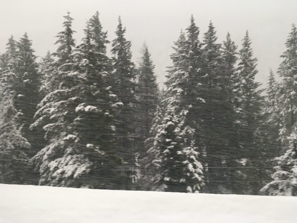 Snowstorm viewed from the Amtrak train, the Empire Builder, just south of Glacier National Park. 