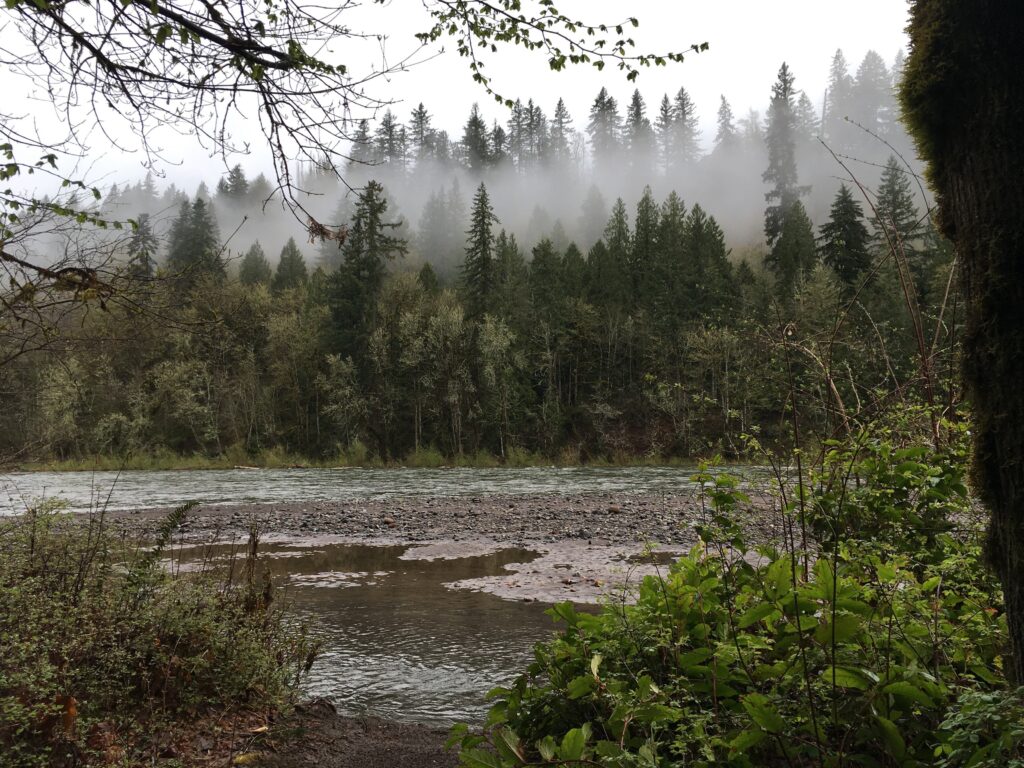 A view of the Sandy River from Oxbow Regional Park. There is mist in the conifers across the river.