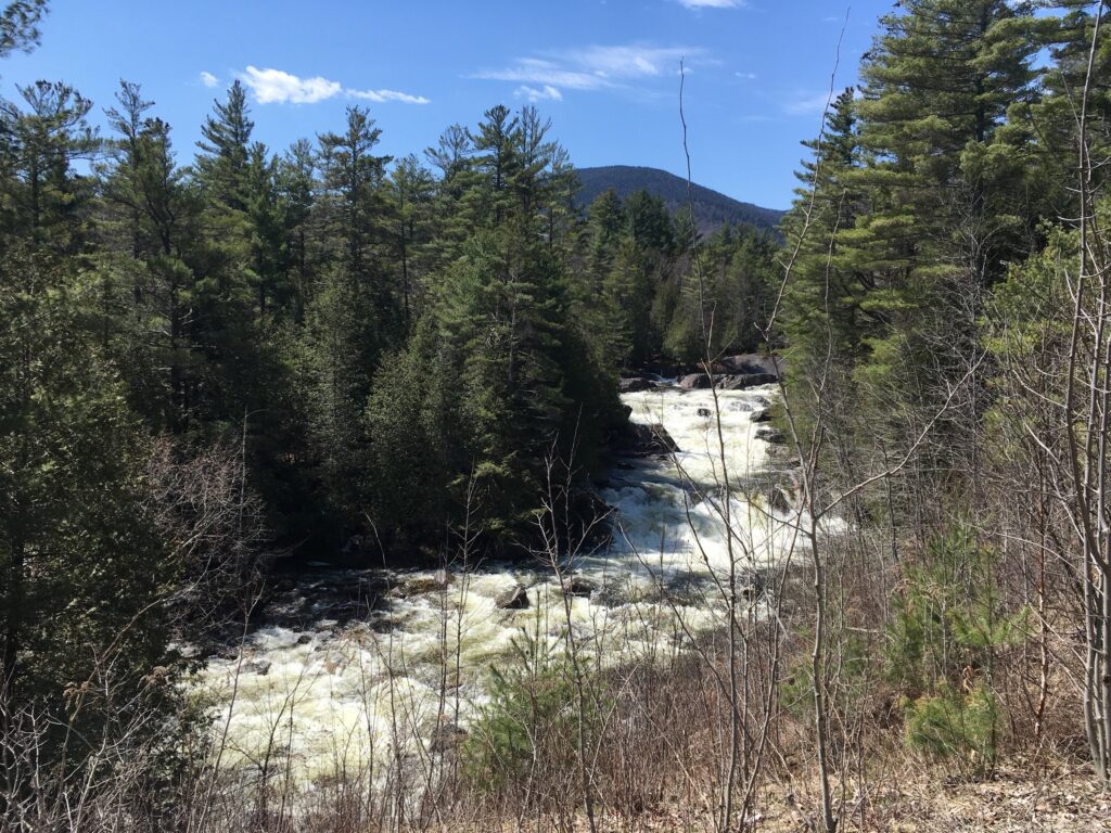 A picture of a fast running stream with rapids going through evergreen trees in the Adirondack Mountains.