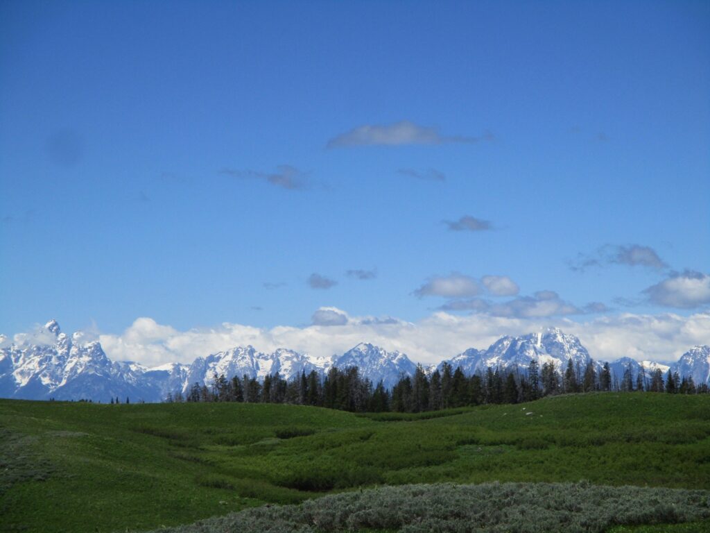 A view of a meadow with the Grand Tetons in the background.