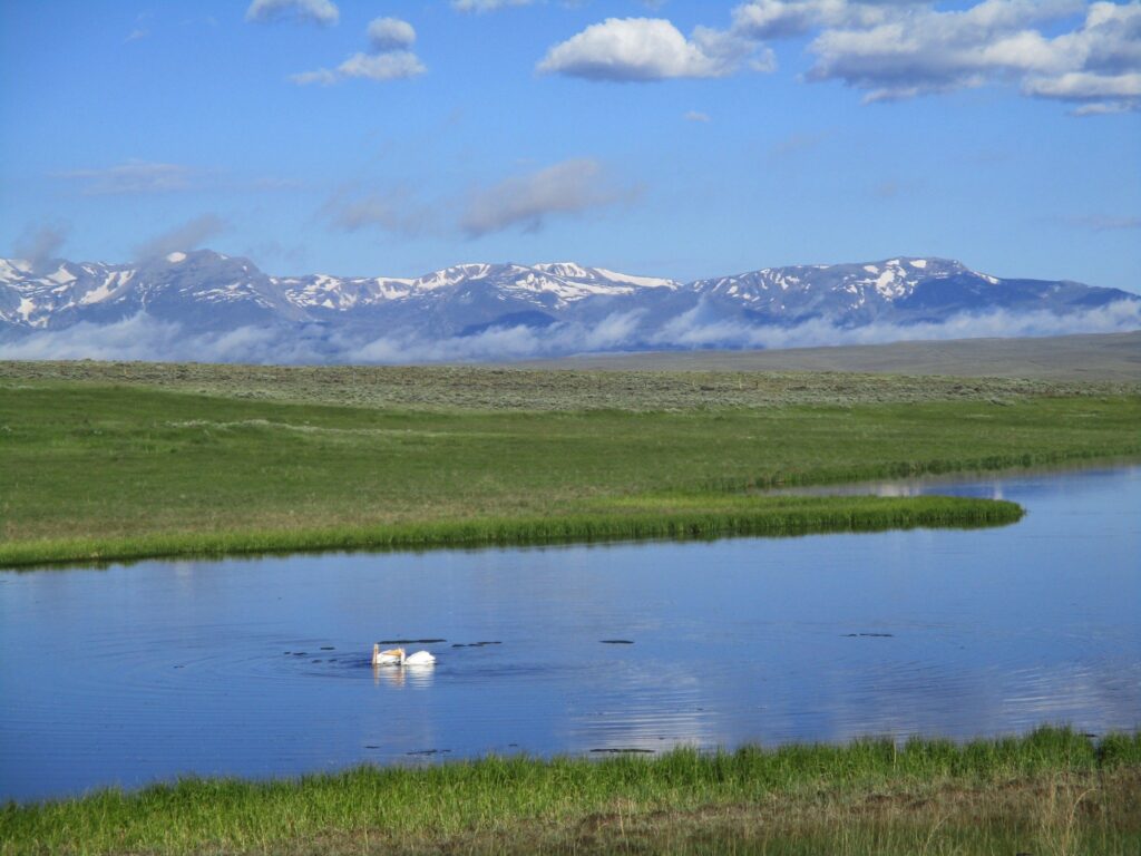 Mountains in the background, a small lake in the foreground in which there are two white pelicans.