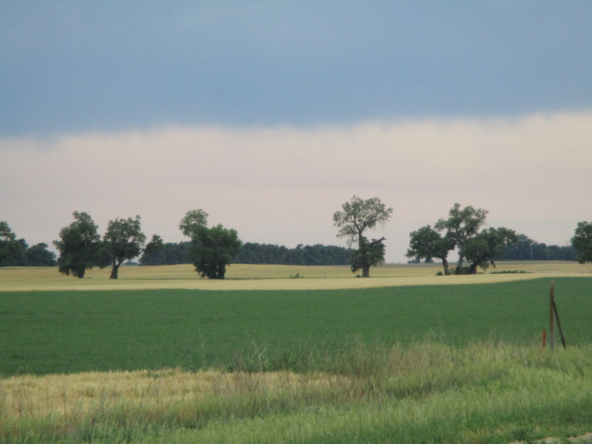 A farm field in Kansas. The forground is deep green then there is a band of gold wheat with a line of trees. The sky is cloudy but clearing.