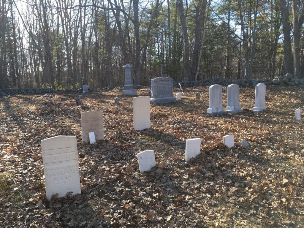 A small cemetery in Maine. It is early spring, so the grave markers are surrounded by dead leaves. A line of trees is in the background.